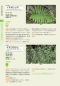 青葉山植物図鑑