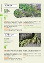 青葉山植物図鑑
