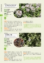 青葉山植物図鑑