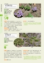 青葉山植物図鑑