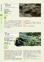 青葉山植物図鑑