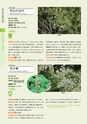 青葉山植物図鑑