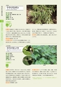 青葉山植物図鑑