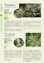 青葉山植物図鑑