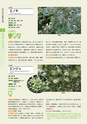 青葉山植物図鑑