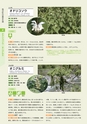 青葉山植物図鑑
