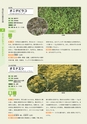 青葉山植物図鑑