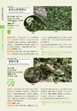青葉山植物図鑑