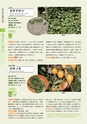 青葉山植物図鑑