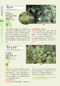 青葉山植物図鑑