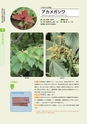 青葉山植物図鑑