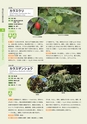 青葉山植物図鑑