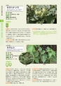 青葉山植物図鑑