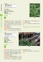 青葉山植物図鑑