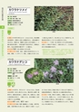 青葉山植物図鑑
