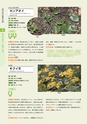 青葉山植物図鑑