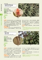 青葉山植物図鑑