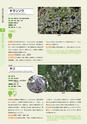 青葉山植物図鑑