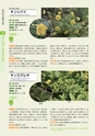 青葉山植物図鑑