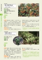 青葉山植物図鑑