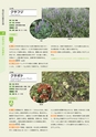 青葉山植物図鑑