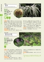 青葉山植物図鑑