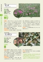 青葉山植物図鑑