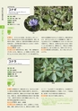 青葉山植物図鑑