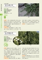 青葉山植物図鑑