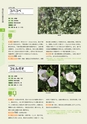 青葉山植物図鑑