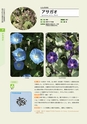 青葉山植物図鑑