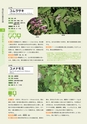 青葉山植物図鑑