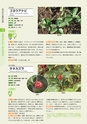 青葉山植物図鑑