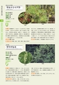 青葉山植物図鑑