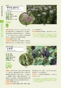 青葉山植物図鑑