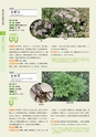 青葉山植物図鑑