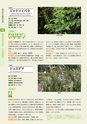 青葉山植物図鑑