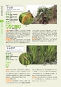 青葉山植物図鑑