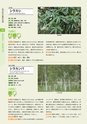 青葉山植物図鑑