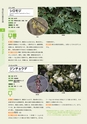青葉山植物図鑑