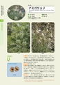 青葉山植物図鑑