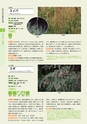 青葉山植物図鑑