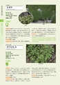 青葉山植物図鑑