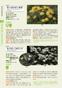 青葉山植物図鑑
