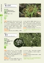 青葉山植物図鑑