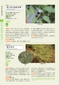 青葉山植物図鑑