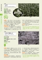 青葉山植物図鑑