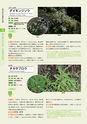 青葉山植物図鑑