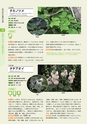 青葉山植物図鑑