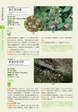 青葉山植物図鑑